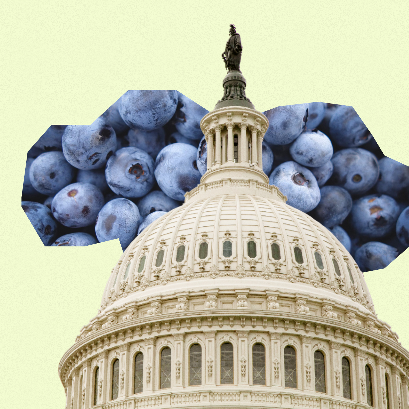 A graphic demonstrating that federal fiscal policies, such as taxes on unhealthy foods and food subsidies, can change food environments.